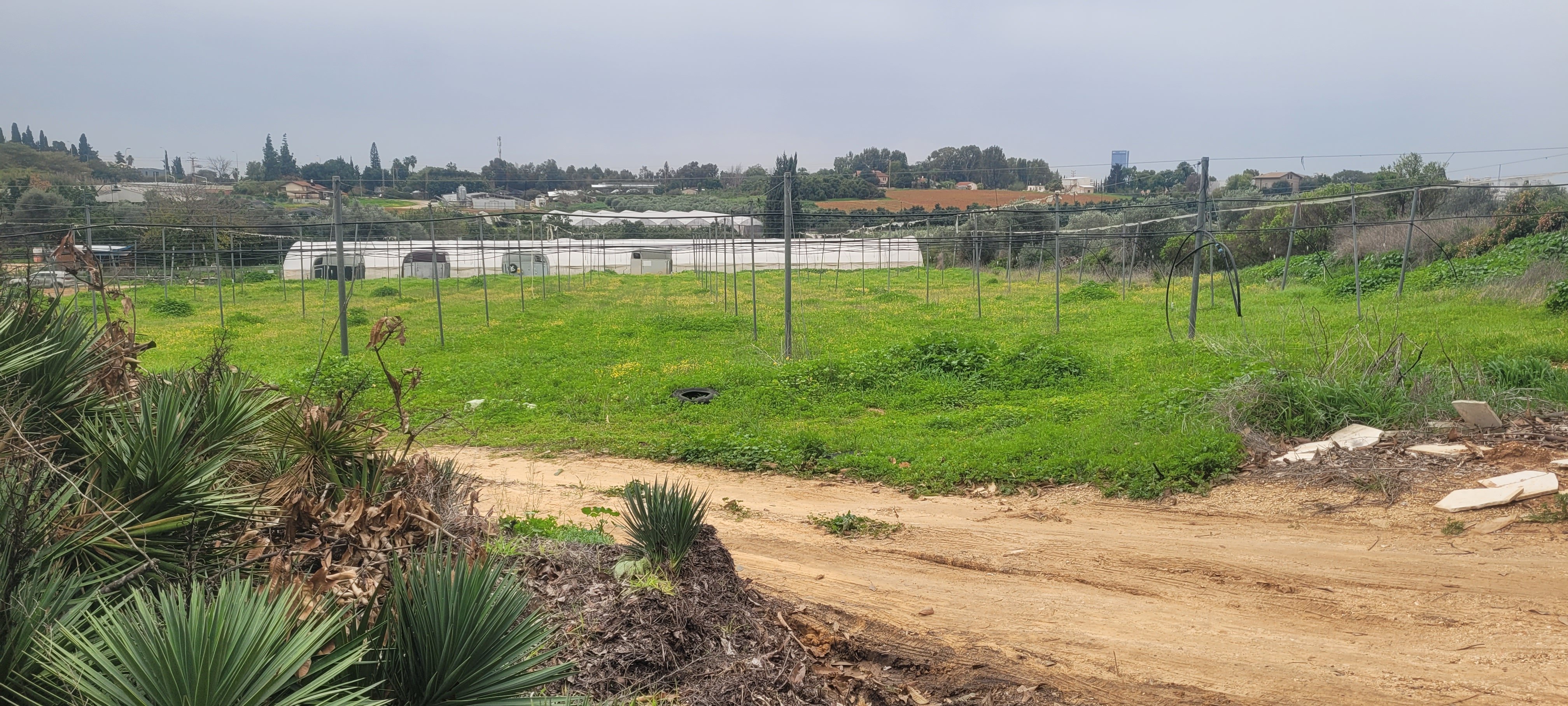 מהסמארטפון שלי